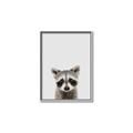 Picture of Peekaboo Raccoon _GroupedProduct_Rectangle_Portrait_Mini_ _GroupedProduct_Rectangle_Portrait_Canvas_Framed_