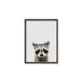Picture of Peekaboo Raccoon _GroupedProduct_Rectangle_Portrait_Mini_ _GroupedProduct_Rectangle_Portrait_Canvas_Framed_