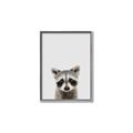 Picture of Peekaboo Raccoon _GroupedProduct_Rectangle_Portrait_Mini_ _GroupedProduct_Rectangle_Portrait_Canvas_Framed_