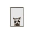 Picture of Peekaboo Raccoon _GroupedProduct_Rectangle_Portrait_Mini_ _GroupedProduct_Rectangle_Portrait_Canvas_Framed_