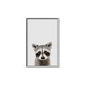 Picture of Peekaboo Raccoon _GroupedProduct_Rectangle_Portrait_Mini_ _GroupedProduct_Rectangle_Portrait_Canvas_Framed_