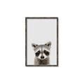 Picture of Peekaboo Raccoon _GroupedProduct_Rectangle_Portrait_Mini_ _GroupedProduct_Rectangle_Portrait_Canvas_Framed_