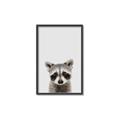 Picture of Peekaboo Raccoon _GroupedProduct_Rectangle_Portrait_Mini_ _GroupedProduct_Rectangle_Portrait_Canvas_Framed_