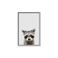 Picture of Peekaboo Raccoon _GroupedProduct_Rectangle_Portrait_Mini_ _GroupedProduct_Rectangle_Portrait_Canvas_Framed_