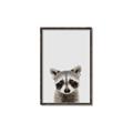 Picture of Peekaboo Raccoon _GroupedProduct_Rectangle_Portrait_Mini_ _GroupedProduct_Rectangle_Portrait_Canvas_Framed_