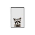 Picture of Peekaboo Raccoon _GroupedProduct_Rectangle_Portrait_Mini_ _GroupedProduct_Rectangle_Portrait_Canvas_Framed_