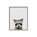 Picture of Peekaboo Raccoon _GroupedProduct_Rectangle_Portrait_Mini_ _GroupedProduct_Rectangle_Portrait_Canvas_Framed_