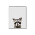 Picture of Peekaboo Raccoon _GroupedProduct_Rectangle_Portrait_Mini_ _GroupedProduct_Rectangle_Portrait_Canvas_Framed_