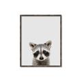 Picture of Peekaboo Raccoon _GroupedProduct_Rectangle_Portrait_Mini_ _GroupedProduct_Rectangle_Portrait_Canvas_Framed_