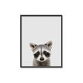 Picture of Peekaboo Raccoon _GroupedProduct_Rectangle_Portrait_Mini_ _GroupedProduct_Rectangle_Portrait_Canvas_Framed_