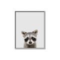 Picture of Peekaboo Raccoon _GroupedProduct_Rectangle_Portrait_Mini_ _GroupedProduct_Rectangle_Portrait_Canvas_Framed_