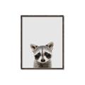 Picture of Peekaboo Raccoon _GroupedProduct_Rectangle_Portrait_Mini_ _GroupedProduct_Rectangle_Portrait_Canvas_Framed_