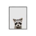 Picture of Peekaboo Raccoon _GroupedProduct_Rectangle_Portrait_Mini_ _GroupedProduct_Rectangle_Portrait_Canvas_Framed_