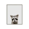 Picture of Peekaboo Raccoon _GroupedProduct_Rectangle_Portrait_Mini_ _GroupedProduct_Rectangle_Portrait_Canvas_Framed_
