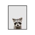 Picture of Peekaboo Raccoon _GroupedProduct_Rectangle_Portrait_Mini_ _GroupedProduct_Rectangle_Portrait_Canvas_Framed_