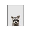 Picture of Peekaboo Raccoon _GroupedProduct_Rectangle_Portrait_Mini_ _GroupedProduct_Rectangle_Portrait_Canvas_Framed_