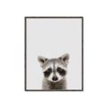 Picture of Peekaboo Raccoon _GroupedProduct_Rectangle_Portrait_Mini_ _GroupedProduct_Rectangle_Portrait_Canvas_Framed_