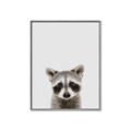 Picture of Peekaboo Raccoon _GroupedProduct_Rectangle_Portrait_Mini_ _GroupedProduct_Rectangle_Portrait_Canvas_Framed_