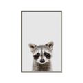 Picture of Peekaboo Raccoon _GroupedProduct_Rectangle_Portrait_Mini_ _GroupedProduct_Rectangle_Portrait_Canvas_Framed_