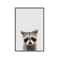Picture of Peekaboo Raccoon _GroupedProduct_Rectangle_Portrait_Mini_ _GroupedProduct_Rectangle_Portrait_Canvas_Framed_