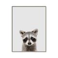 Picture of Peekaboo Raccoon _GroupedProduct_Rectangle_Portrait_Mini_ _GroupedProduct_Rectangle_Portrait_Canvas_Framed_