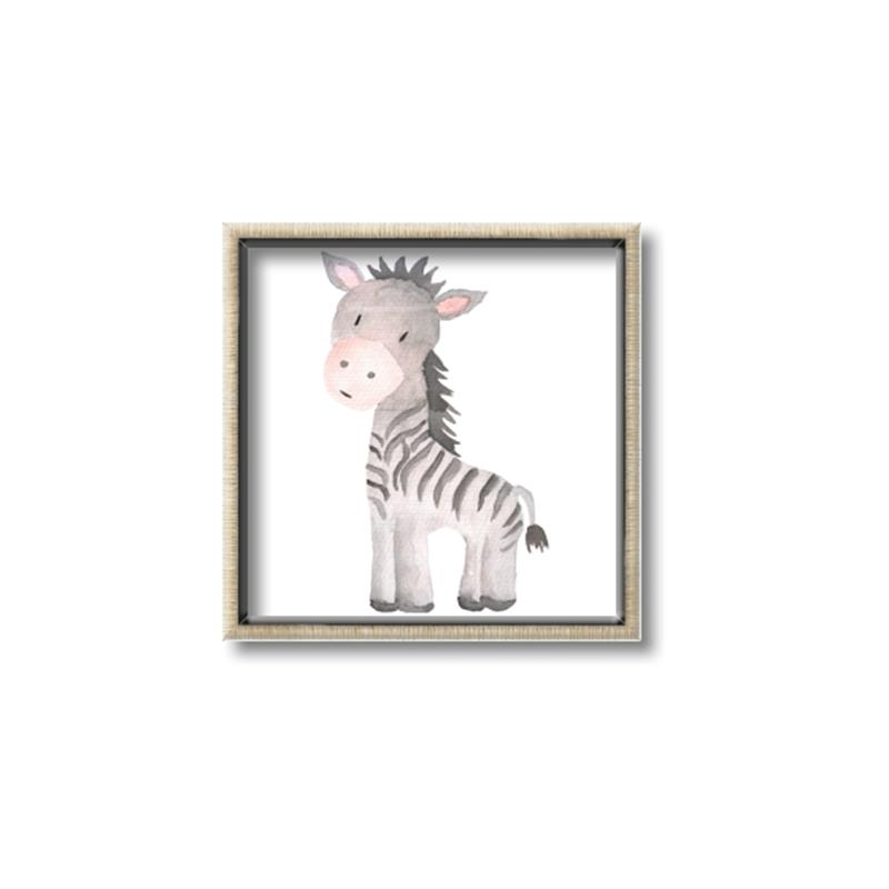 Picture of Baby Zebra  _GroupedProduct_Square_Mini_ _GroupedProduct_Square_Canvas_Framed_