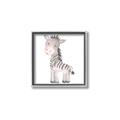 Picture of Baby Zebra  _GroupedProduct_Square_Mini_ _GroupedProduct_Square_Canvas_Framed_