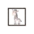 Picture of Baby Zebra  _GroupedProduct_Square_Mini_ _GroupedProduct_Square_Canvas_Framed_