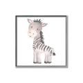 Picture of Baby Zebra  _GroupedProduct_Square_Mini_ _GroupedProduct_Square_Canvas_Framed_