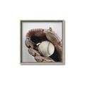 Picture of Baseball     _GroupedProduct_Square_Mini_ _GroupedProduct_Square_Canvas_Framed_