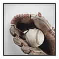 Picture of Baseball     _GroupedProduct_Square_Mini_ _GroupedProduct_Square_Canvas_Framed_