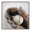 Picture of Baseball     _GroupedProduct_Square_Mini_ _GroupedProduct_Square_Canvas_Framed_