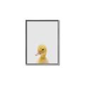 Picture of Baby Duck  _GroupedProduct_Rectangle_Portrait_Mini_ _GroupedProduct_Rectangle_Portrait_Canvas_Framed_