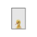 Picture of Baby Duck  _GroupedProduct_Rectangle_Portrait_Mini_ _GroupedProduct_Rectangle_Portrait_Canvas_Framed_
