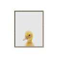 Picture of Baby Duck  _GroupedProduct_Rectangle_Portrait_Mini_ _GroupedProduct_Rectangle_Portrait_Canvas_Framed_