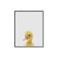 Picture of Baby Duck  _GroupedProduct_Rectangle_Portrait_Mini_ _GroupedProduct_Rectangle_Portrait_Canvas_Framed_