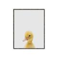 Picture of Baby Duck  _GroupedProduct_Rectangle_Portrait_Mini_ _GroupedProduct_Rectangle_Portrait_Canvas_Framed_