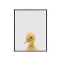 Picture of Baby Duck  _GroupedProduct_Rectangle_Portrait_Mini_ _GroupedProduct_Rectangle_Portrait_Canvas_Framed_