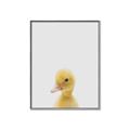 Picture of Baby Duck  _GroupedProduct_Rectangle_Portrait_Mini_ _GroupedProduct_Rectangle_Portrait_Canvas_Framed_