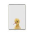 Picture of Baby Duck  _GroupedProduct_Rectangle_Portrait_Mini_ _GroupedProduct_Rectangle_Portrait_Canvas_Framed_