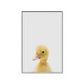 Picture of Baby Duck  _GroupedProduct_Rectangle_Portrait_Mini_ _GroupedProduct_Rectangle_Portrait_Canvas_Framed_