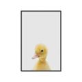 Picture of Baby Duck  _GroupedProduct_Rectangle_Portrait_Mini_ _GroupedProduct_Rectangle_Portrait_Canvas_Framed_
