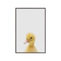 Picture of Baby Duck  _GroupedProduct_Rectangle_Portrait_Mini_ _GroupedProduct_Rectangle_Portrait_Canvas_Framed_