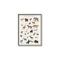 Picture of Animal Alphabet _GroupedProduct_Rectangle_Portrait_Canvas_Framed_
