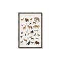 Picture of Animal Alphabet _GroupedProduct_Rectangle_Portrait_Canvas_Framed_