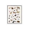 Picture of Animal Alphabet _GroupedProduct_Rectangle_Portrait_Canvas_Framed_