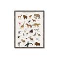 Picture of Animal Alphabet _GroupedProduct_Rectangle_Portrait_Canvas_Framed_