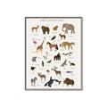 Picture of Animal Alphabet _GroupedProduct_Rectangle_Portrait_Canvas_Framed_