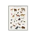Picture of Animal Alphabet _GroupedProduct_Rectangle_Portrait_Canvas_Framed_