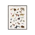 Picture of Animal Alphabet _GroupedProduct_Rectangle_Portrait_Canvas_Framed_
